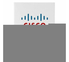 Лицензия Cisco LIC-CUCM-BASIC-C